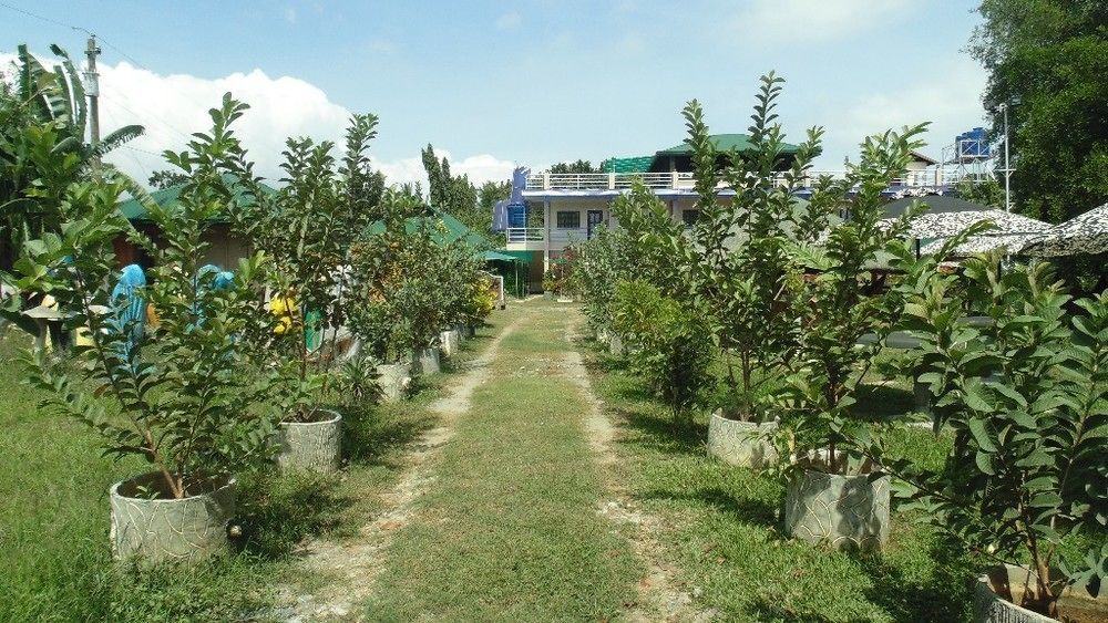Michelle Pension Puerto Princesa Екстер'єр фото